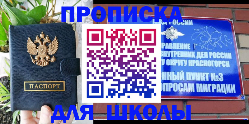 прописка гарантия в Апатитах